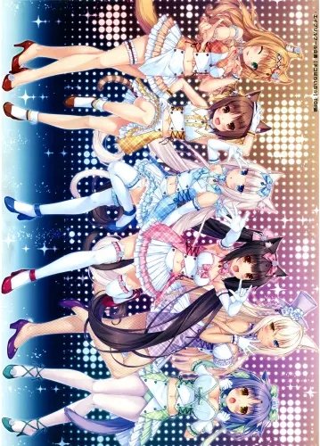 Plakat Anime Manga Nekopara np_008 A2 (custom)