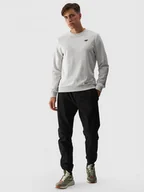 Spodnie sportowe męskie - Męskie spodnie casual joggery 4F 4FWMM00TTROM0944 - czarny - miniaturka - grafika 1