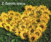 Aforyzmy i sentencje - Z darem serca. Perełka 144 - książka - miniaturka - grafika 1