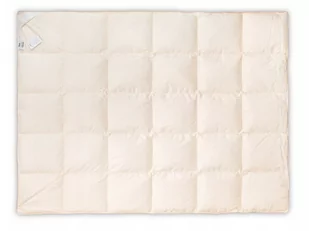 Kołdra Basic Plus, AMZ, Całoroczna, Kremowa, 220x240 cm - Kołdry - miniaturka - grafika 1