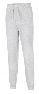 4F OCIEPLANE DZIEWCZÄCE SPODNIE DRESOWE BAWEĹNA / rozm 152 - Dresy męskie 4F OCIEPLANE DZIEWCZÄCE SPODNIE DRESOWE BAWEĹNA / rozm 152 - Dresy męskie - miniaturka - grafika 1