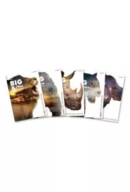 Brulion A4 z marginesem Big 5 - Zeszyty szkolne - miniaturka - grafika 1