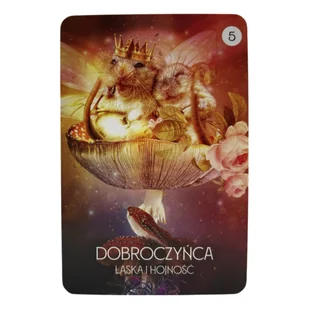 Wyrocznia Sen Szamana Alberto Villoldo, Colette Baron-Reid (karty + książeczka) - Wróżbiarstwo i radiestezja - miniaturka - grafika 8