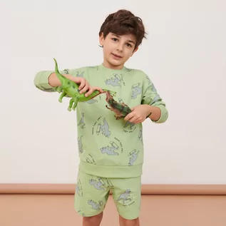 Dresy i komplety dla chłopców - Sinsay - Komplet: bluza i szorty - Zielony - grafika 1