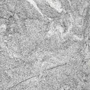 Kostki brukowe i krawężniki - Płytka granitowa szara polerowana Juparana Grey 60x60x1,5 - miniaturka - grafika 1