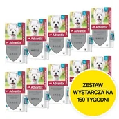 Artykuły przeciw pasożytom - Krople na pchły i kleszcze BAYER Advantix Spot-on Małe psy (4-10 kg) 40 x 1 ml - miniaturka - grafika 1