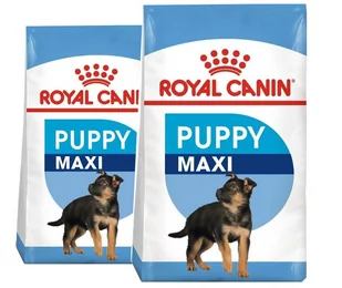 Royal Canin Maxi Junior 15 kg - Sucha karma dla psów - miniaturka - grafika 1