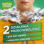 Przeziębienie i grypa - Angelini Tantum Verde smak miętowy, pastylki twarde, 3 mg, 20 szt. - miniaturka - grafika 1