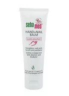 Kremy i maski do rąk - Sebamed Sensitive Skin Hand + Nail Balm nawilżający balsam do dłoni i paznokci 75ml - miniaturka - grafika 1