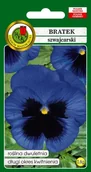 Nasiona i cebule - BRATEK SZWAJCARSKI ALPENSEE NIEBIESKI Z PLAMĄ 0,8g - miniaturka - grafika 1