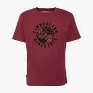 Koszulki męskie - TIMBERLAND T-SHIRT HOLIDAY FRONT GRAPHIC SS TEE - Timberland - miniaturka - grafika 1