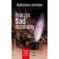 Powieści - Wydawnictwo CM Polska poezja XXw. Poezja. Sad rozstajny Bolesław Leśmian - miniaturka - grafika 1