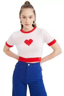 DeFacto Sweter normalny krój dla kobiet – sweter z golfem dla topów damski (PINK, L - XL), Rosa, L-XL - Swetry damskie - miniaturka - grafika 1