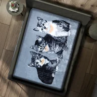 Koce - Gruby Koc Akrylowy 160X210 Koty Szary 18790 - miniaturka - grafika 1