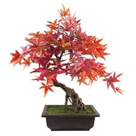 Sztuczne drzewka - Leaf Sztuczne drzewo, mieszane materiały, bonsai czerwony klon, 50 cm - miniaturka - grafika 1