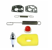 Akcesoria do kos i kosiarek - ZESTAW SERWISOWY NAPRAWCZY DO KOSIARKI Briggs Stratton 7 ELEMENTÓW EX1037 - miniaturka - grafika 1