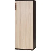 Szafki do salonu - Szafka 8 Inez Plus Jurek Meble Jesion, Jesion Ciemny - miniaturka - grafika 1