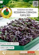 Nasiona i cebule - RZODKIEWKA CZERWONA PURPLE RED NASIONA NA KIEŁKI BEZ GMO 5g - miniaturka - grafika 1