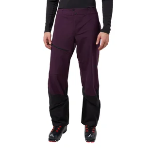 Męskie spodnie nieprzemakalne Jack Wolfskin ALPSPITZE TOUR 3L PANTS M midnight plum - 48 - Spodnie sportowe męskie - miniaturka - grafika 1