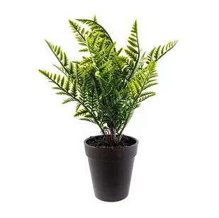 Paprotka W Doniczce Sztuczna Roślina Kwiat 32Cm - Sztuczne kwiaty - miniaturka - grafika 1