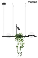 Lampy sufitowe - Moosee lampa wisząca PLANT czarna MSE010100156 [18222133] - miniaturka - grafika 1