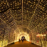 Oświetlenie świąteczne - Jopassy 20M 200 LED lampki choinkowe zewnętrzne wewnętrzne świąteczne dekoracje ogrodowe IP44 8 trybów ciepła biel - miniaturka - grafika 1