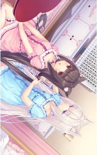 Plakat Anime Manga Nekopara np_047 A3 (custom)