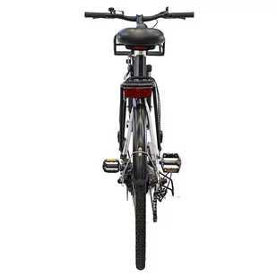 Luchia ARTURO City Electric Bike 250W Motor 36V 10AH Battery 25km/h Max Speed 55-65km Range Mechanical Disc Brake - Rowery elektryczne - miniaturka - grafika 6