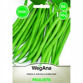 Nasiona i cebule - Fasola Szparagowa Zielona Karłowa Paulista 40g Nasiona Wegana - miniaturka - grafika 1