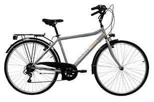Discovery Rower Mężczyzna, Rower Trekking Manhattan 28'' Skrzynia biegów Shimano 6 prędkości, Kolor Metal, Srebrny Metaliczny, 28 - Rowery - miniaturka - grafika 1
