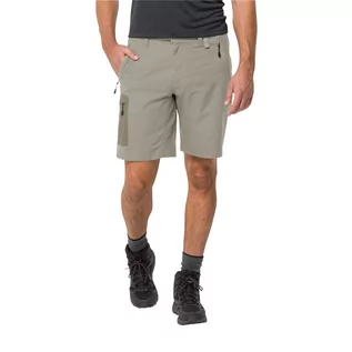 Spodnie sportowe męskie - Krótkie spodenki męskie Jack Wolfskin ACTIVE TRACK SHORTS MEN misty green - 46 - grafika 1