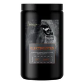 Pasze dla zwierząt - ELEKTROLITY DLA KONIA - Biofeed Horse&Pony Electrolytes, 900G - miniaturka - grafika 1