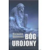 Religia i religioznawstwo - Bóg urojony - miniaturka - grafika 1