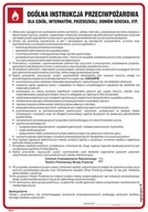 Instrukcje stanowiskowe BHP - DB023 OGÓLNA INSTRUKCJA PRZECIWPOŻAROWA DLA SZKÓŁ, PN - PŁYTA PCV 1MM; (245X350MM) - miniaturka - grafika 1