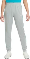 Spodnie męskie - Spodnie dla dzieci Nike NK DF Academy Trk Pant Kp Fp Jb szare CZ0973 019-S - miniaturka - grafika 1