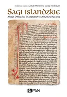 Historia Polski - Sagi islandzkie - Wydawnictwo Naukowe PWN - miniaturka - grafika 1