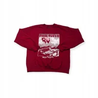 Bluzy męskie - Bluza męska wciągana Pink Floyd Thrifted S - miniaturka - grafika 1