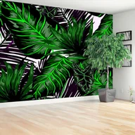 Fototapety - Fototapeta Liście Monstera - miniaturka - grafika 1