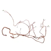 Dekoracje do terrarium - Repti-zoo Rozgałęziona Liana Gięta Z Liśćmi 150CM - miniaturka - grafika 1