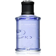 Wody i perfumy męskie - Jeanne Arthes J.S Joe Sorrento woda perfumowana 100ml - miniaturka - grafika 1