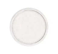 Pudry do twarzy - KRYOLAN Anti-Shine Powder Puder matujący ryżowy 10 g - miniaturka - grafika 1
