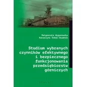 Zarządzanie - Śląsk Studium wybranych czynników efektywnego i bezpiecznego funkcjonowania przedsiębiorstw górniczych - miniaturka - grafika 1