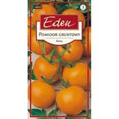 Nasiona i cebule - Pomidor gruntowy Romus 0,5 g Eden - miniaturka - grafika 1