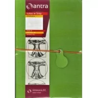 Notesy i bloczki - Ateneum Notes A5 Linia Renesans Zielony ANTRA - miniaturka - grafika 1