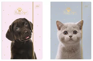 Bertus Bertus Teczka na dokumenty z gumką A4 Puppy Sign - Teczki i skoroszyty - miniaturka - grafika 1