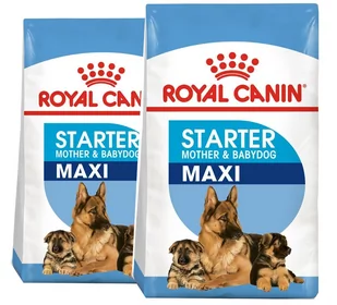 Royal Canin Maxi Starter Mother&Babydog 15kg + Pojemnik na karmę 42L - Mokra karma dla psów - miniaturka - grafika 1