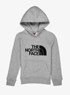 Bluzy sportowe męskie - Bluza chłopięca The North Face Drew Peak P/O Hoodie - light grey - miniaturka - grafika 1