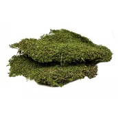 Dekoracje do terrarium - Mech Suszony Do Terrarium Płaty 500G Flat Moss Bioterr - miniaturka - grafika 1