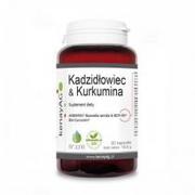 Suplementy naturalne - Arjuna Natural Extracts Ltd Kadzidłowiec + Kurkumina (AKBAMAX + BCM-95) 90 kapsułek CB3F-54613 - miniaturka - grafika 1