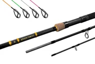 Wędki - Wędka Delphin River Trophy NXT 360 cm 200 g - miniaturka - grafika 1